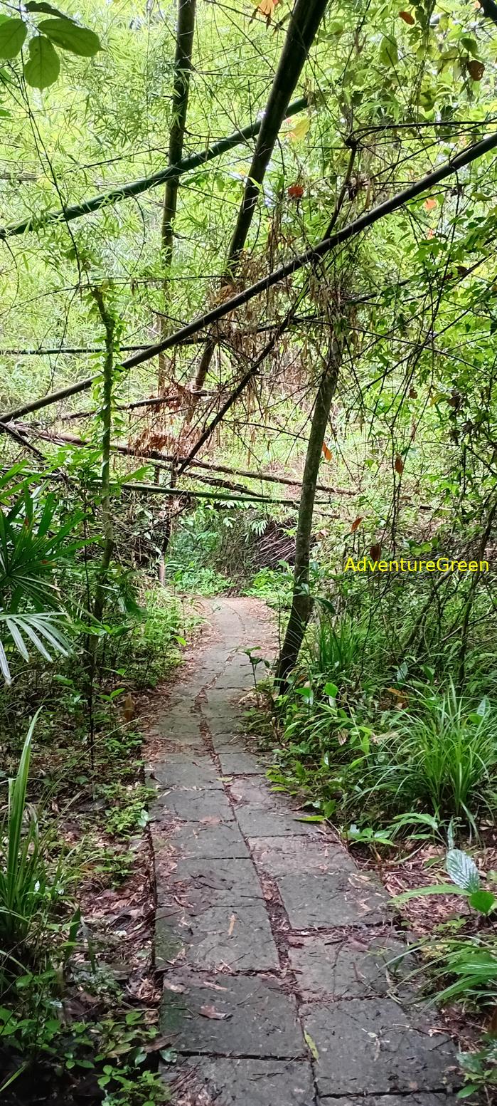 Bike and Hike Tour the Cat Tien National Park in Vietnam Bike and Hike Tour the Cat Tien National Park in Vietnam