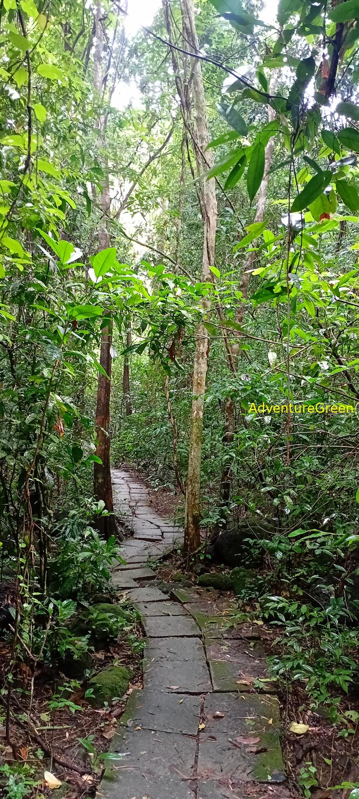 Bike and Hike Tour the Cat Tien National Park in Vietnam Bike and Hike Tour the Cat Tien National Park in Vietnam