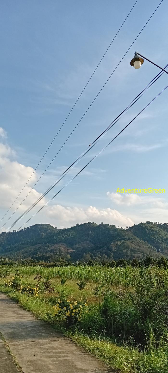 Bike and Hike Tour the Cat Tien National Park in Vietnam Bike and Hike Tour the Cat Tien National Park in Vietnam