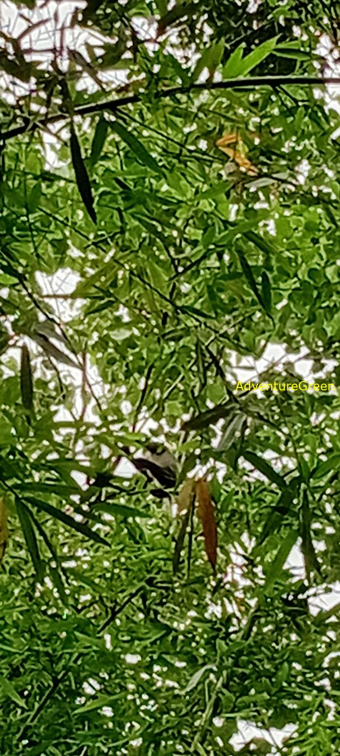 Bike and Hike Tour the Cat Tien National Park in Vietnam Bike and Hike Tour the Cat Tien National Park in Vietnam