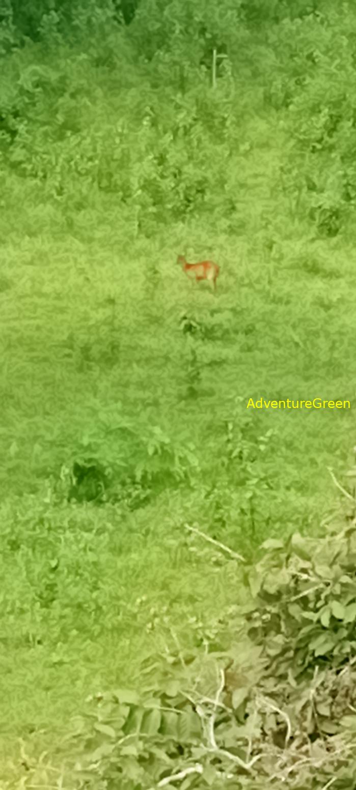 Bike and Hike Tour the Cat Tien National Park in Vietnam Bike and Hike Tour the Cat Tien National Park in Vietnam