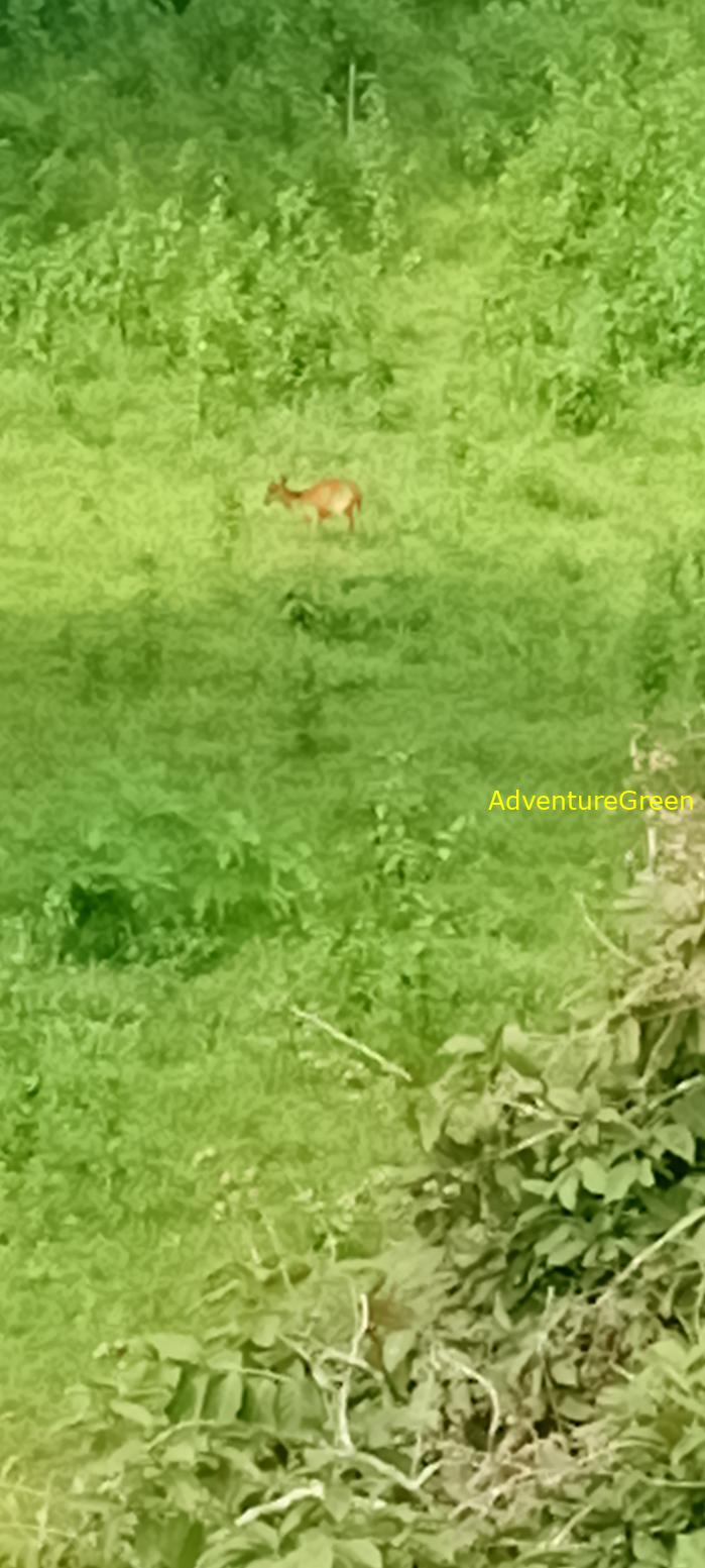 Bike and Hike Tour the Cat Tien National Park in Vietnam Bike and Hike Tour the Cat Tien National Park in Vietnam