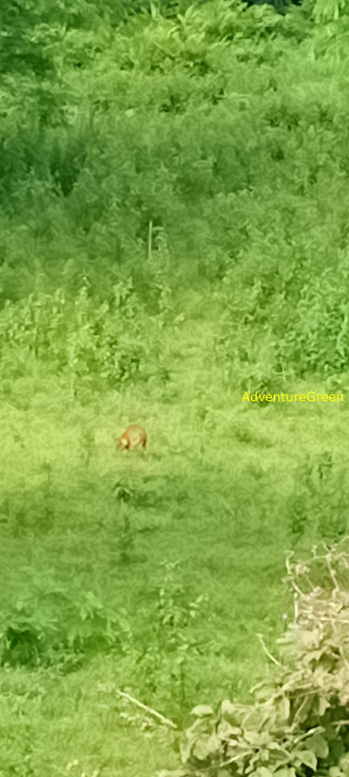 Bike and Hike Tour the Cat Tien National Park in Vietnam Bike and Hike Tour the Cat Tien National Park in Vietnam