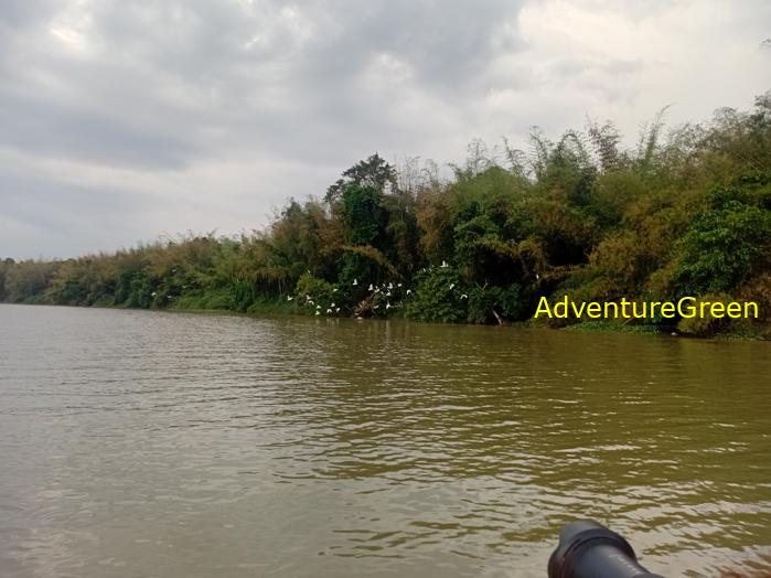 Birdwatching on the Dong Nai River in southern Vietnam