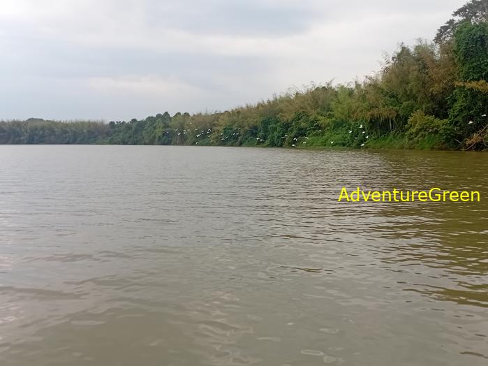 Birdwatching on the Dong Nai River in southern Vietnam