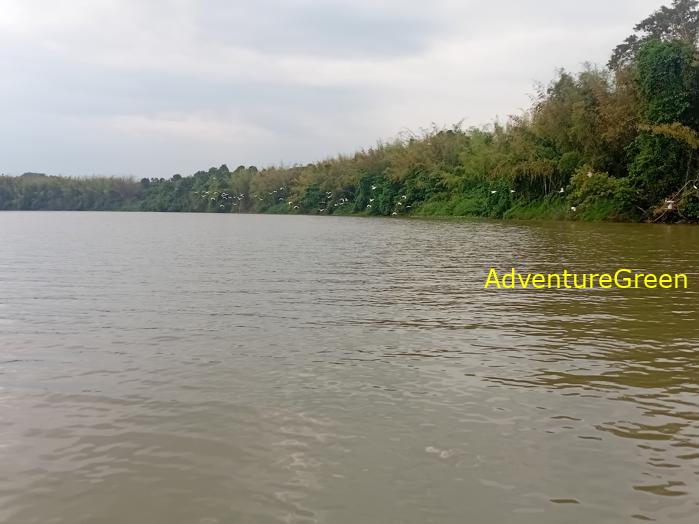 Birdwatching on the Dong Nai River in southern Vietnam
