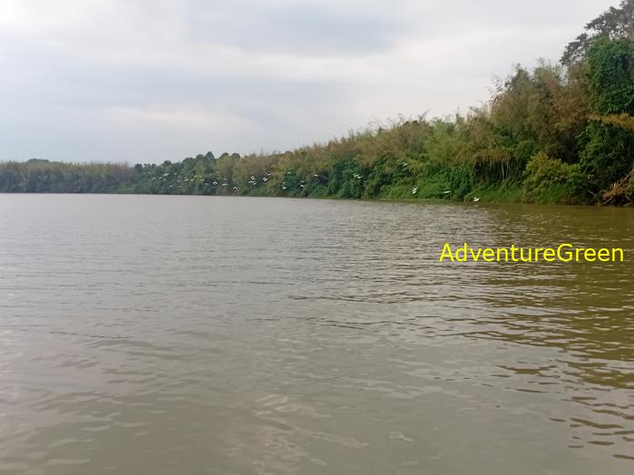 Birdwatching on the Dong Nai River in southern Vietnam