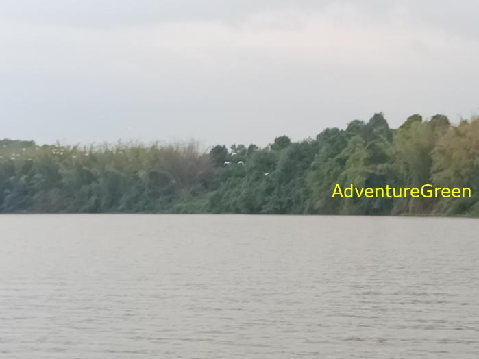 Birdwatching on the Dong Nai River in southern Vietnam