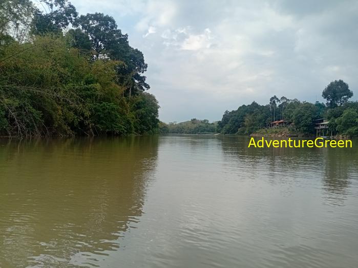 Birdwatching on the Dong Nai River in southern Vietnam