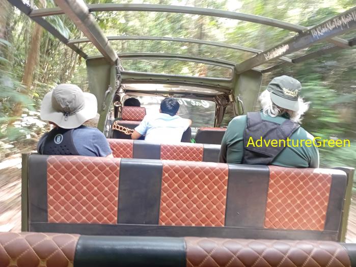Best bird watching tours in southern Vietnam