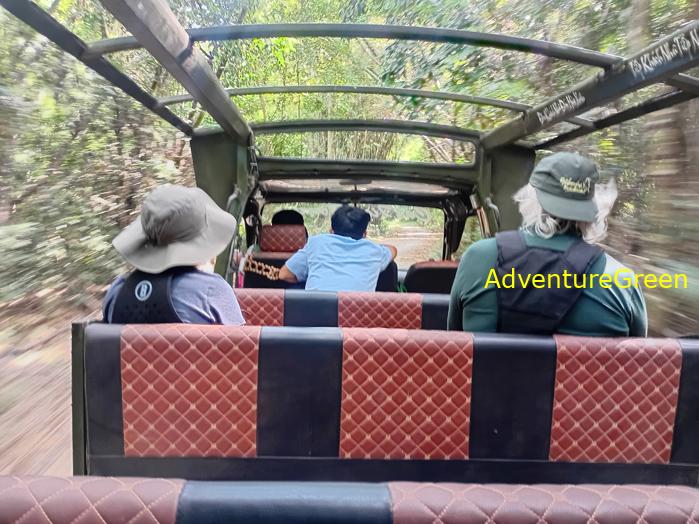 Best bird watching tours in southern Vietnam