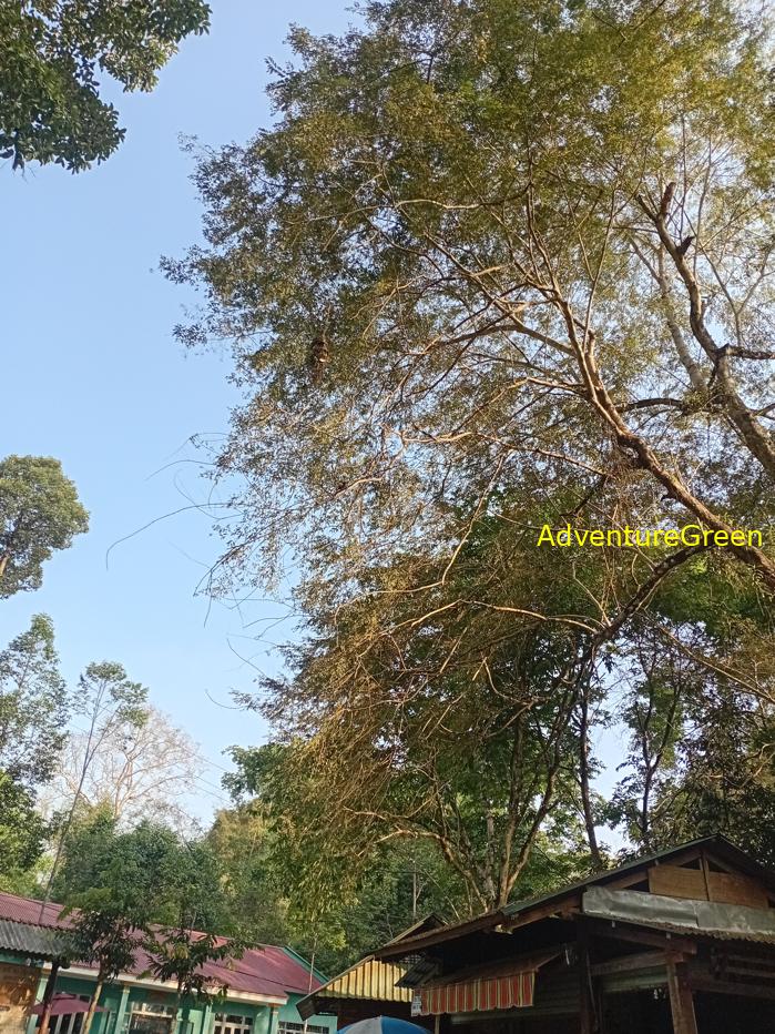 Best bird watching tours in southern Vietnam