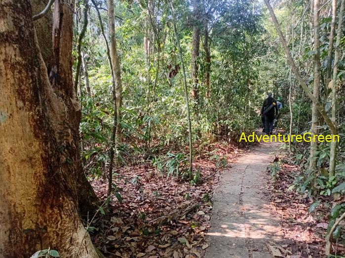 Best bird watching tours in southern Vietnam