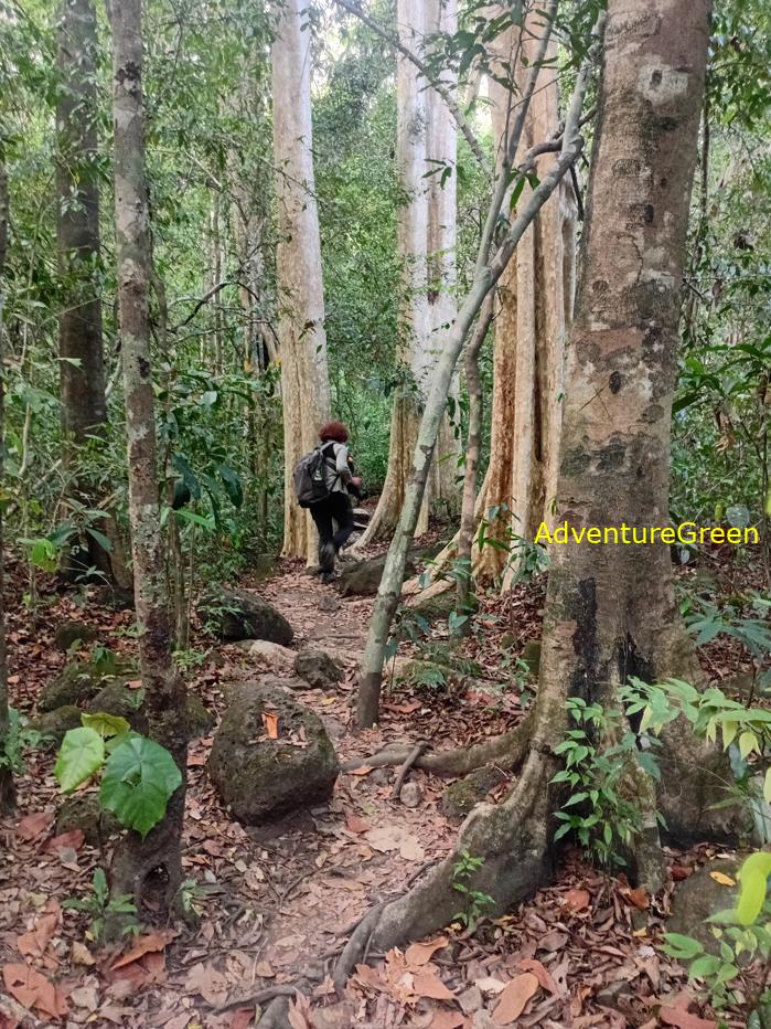 Best bird watching tours in southern Vietnam