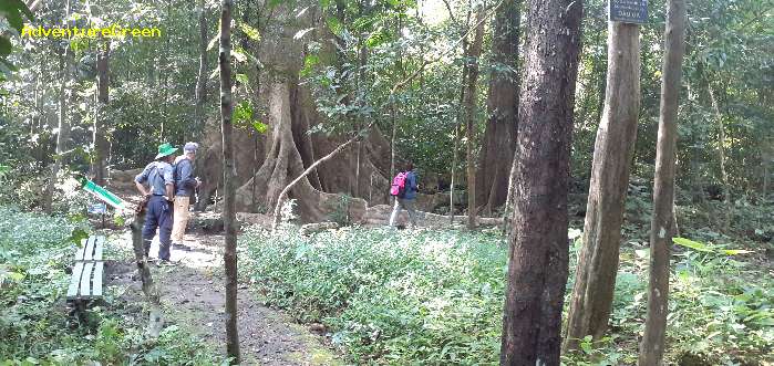 Birding at the Cat Tien National Park Vietnam