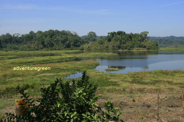 Lake of Crocodiles at the Cat Tien National Park where bronze-winged jacana, pygmy goose, Chinese pond heron... are found.