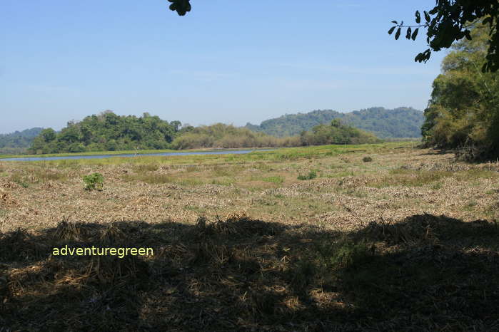 The Crocodile Lake at the Cat Tien National Park