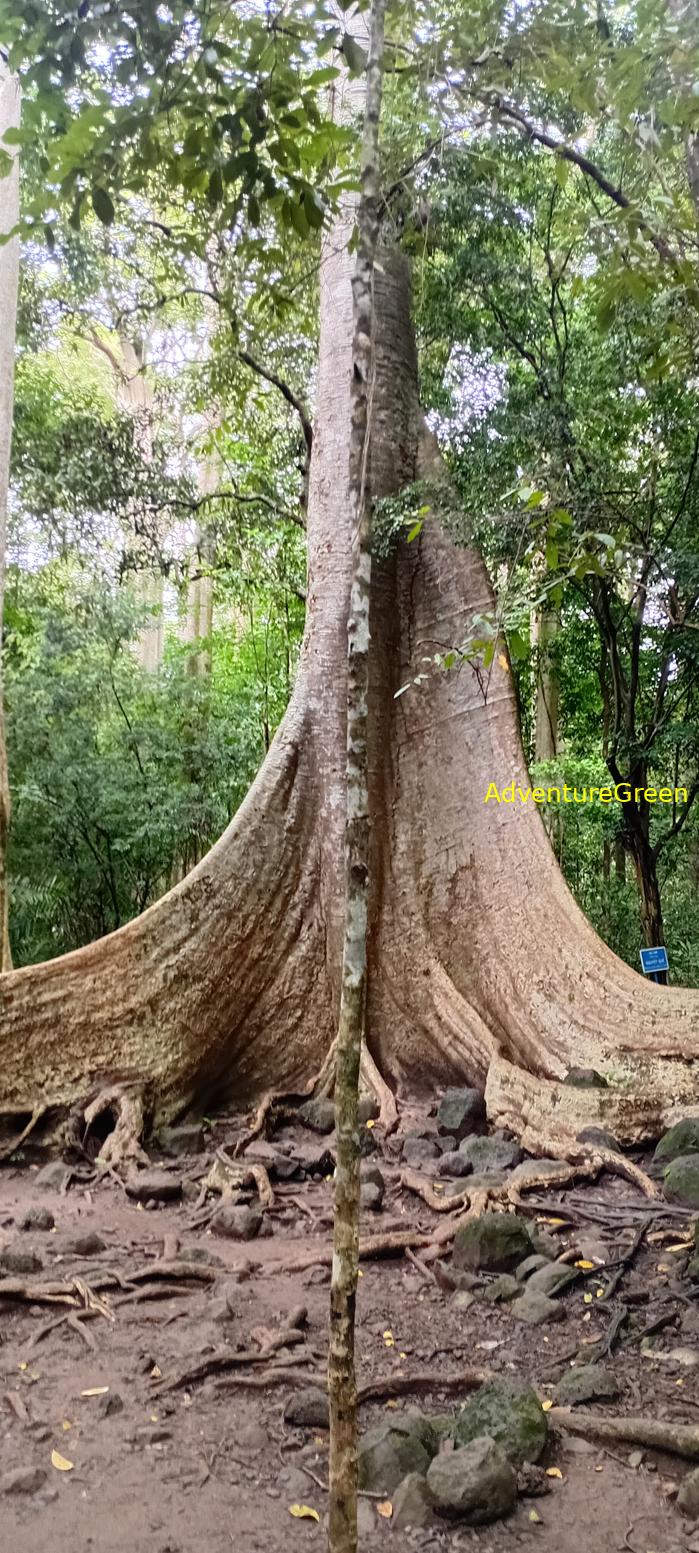 Wildlife Tour at Cat Tien National Park, Vietnam