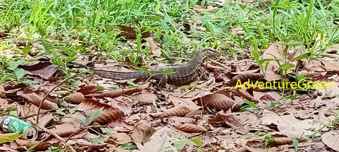 Wildlife Tour at Cat Tien National Park, Vietnam