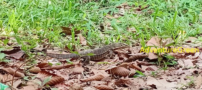 Wildlife Tour at Cat Tien National Park, Vietnam