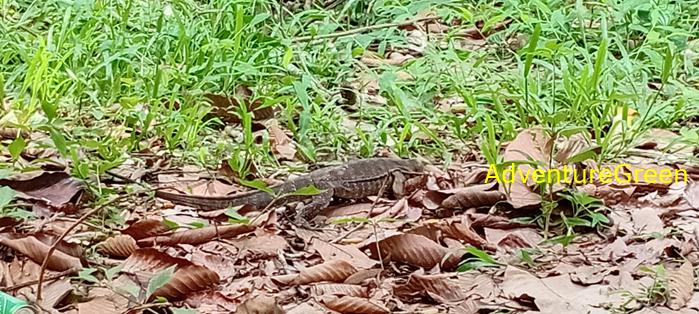 Wildlife Tour at Cat Tien National Park, Vietnam
