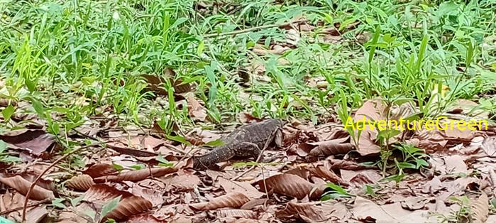 Wildlife Tour at Cat Tien National Park, Vietnam