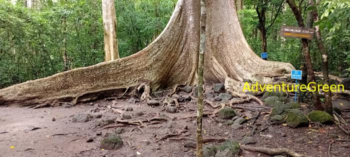 Wildlife Tour at Cat Tien National Park, Vietnam