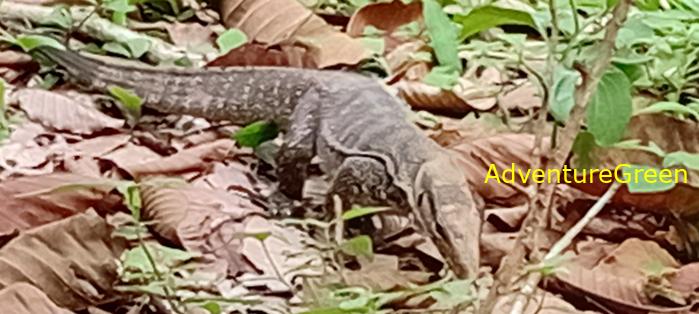 Wildlife Tour at Cat Tien National Park, Vietnam