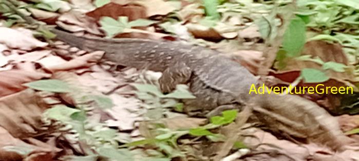 Wildlife Tour at Cat Tien National Park, Vietnam