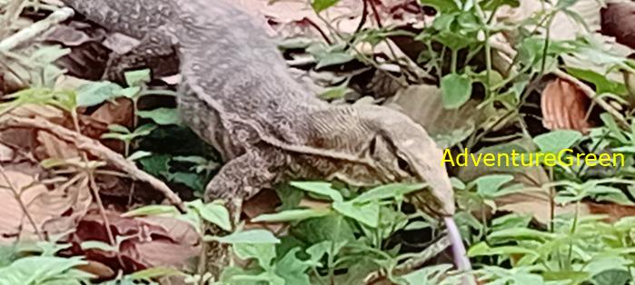 Wildlife Tour at Cat Tien National Park, Vietnam