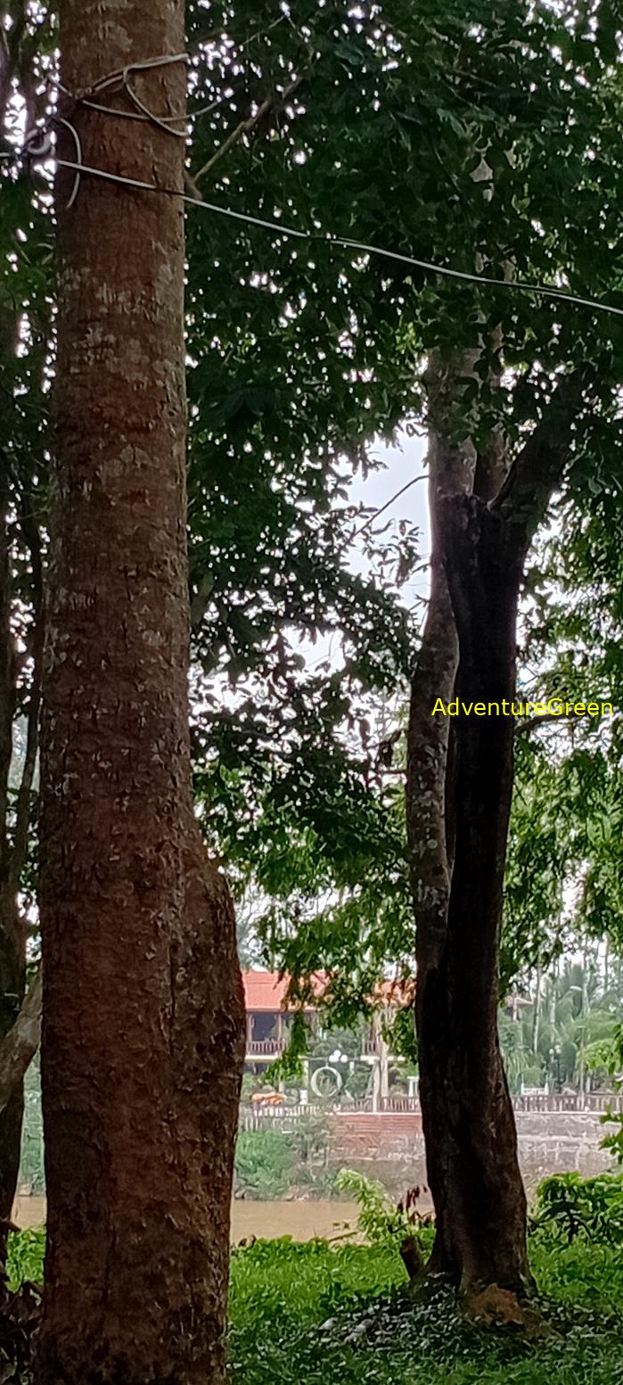 Wildlife Tour at Cat Tien National Park, Vietnam