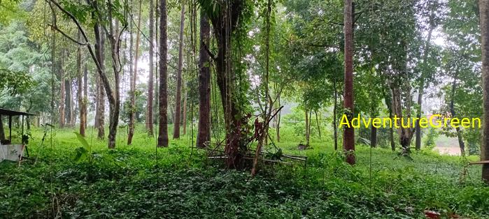 Wildlife Tour at Cat Tien National Park, Vietnam
