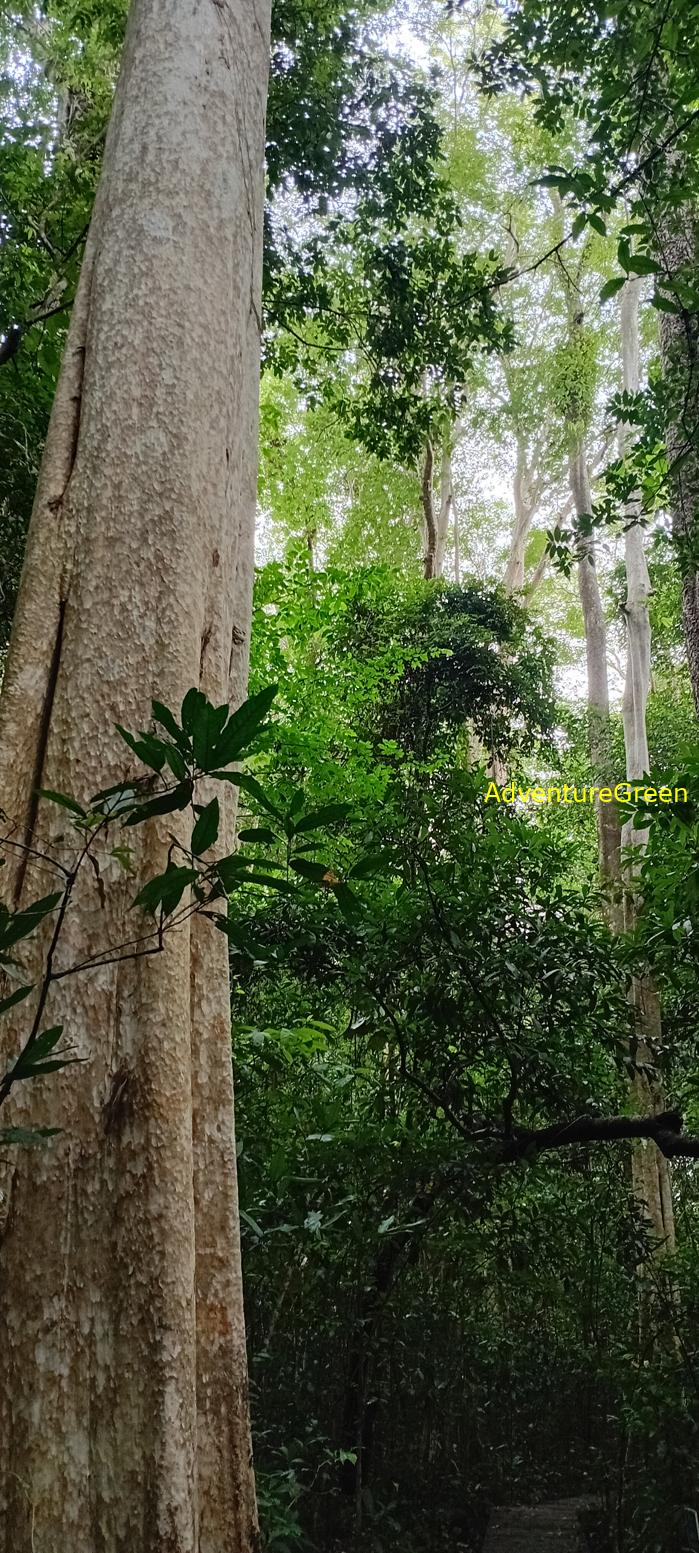 Wildlife Tour at Cat Tien National Park, Vietnam