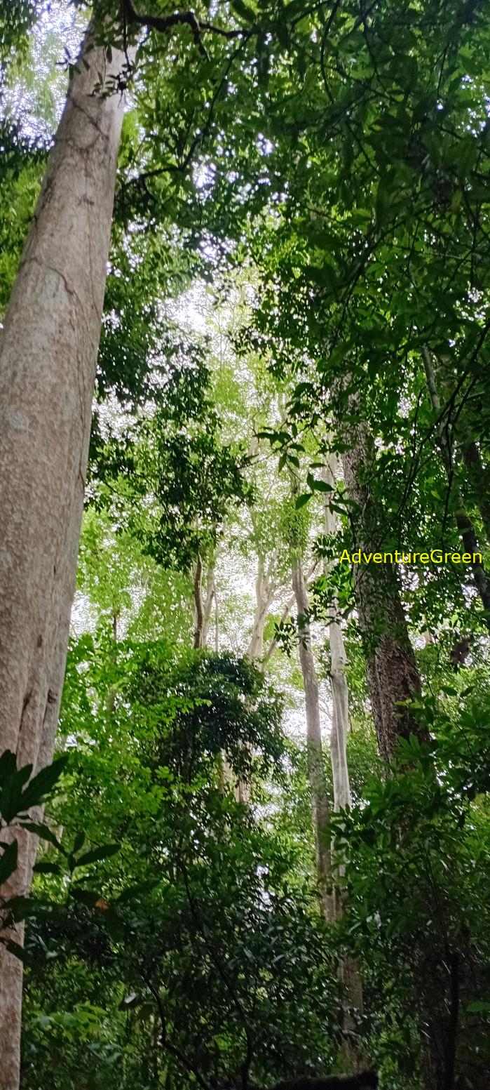 Wildlife Tour at Cat Tien National Park, Vietnam