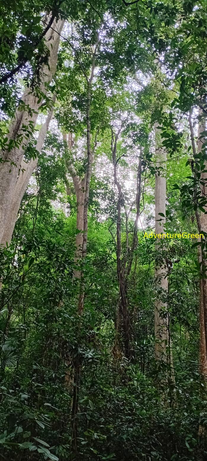 Wildlife Tour at Cat Tien National Park, Vietnam