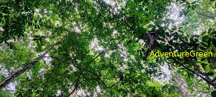 Wildlife Tour at Cat Tien National Park, Vietnam
