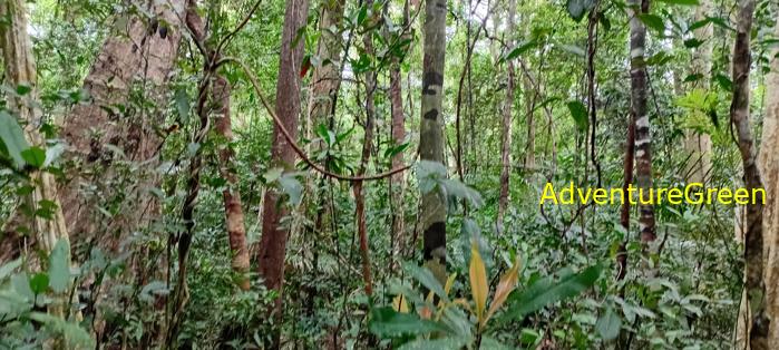 Wildlife Tour at Cat Tien National Park, Vietnam