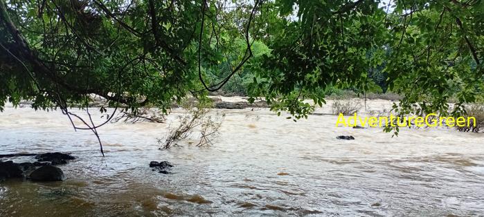 Wildlife Tour at Cat Tien National Park, Vietnam