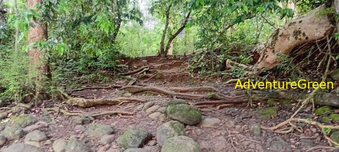 Wildlife Tour at Cat Tien National Park, Vietnam