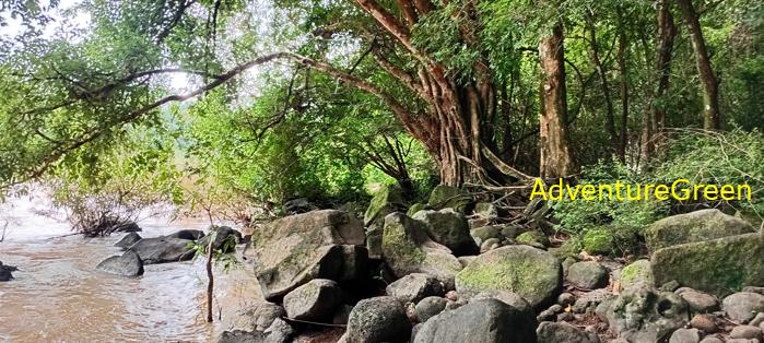 Wildlife Tour at Cat Tien National Park, Vietnam