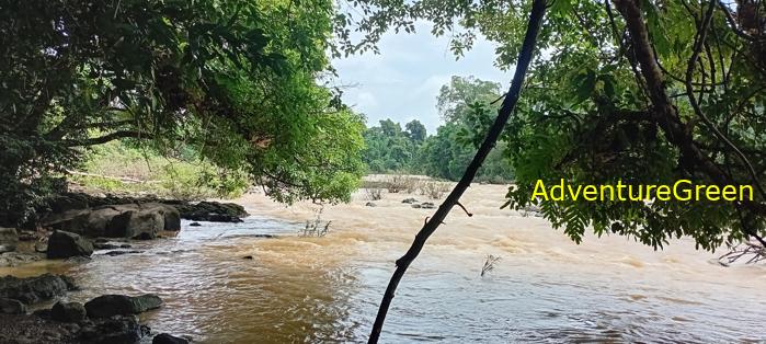 Wildlife Tour at Cat Tien National Park, Vietnam