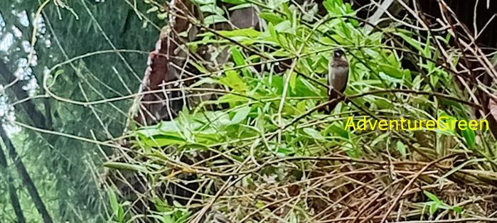 Wildlife Tour at Cat Tien National Park, Vietnam