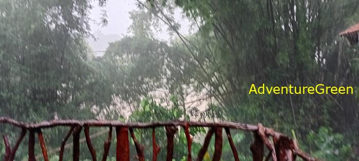 Wildlife Tour at Cat Tien National Park, Vietnam