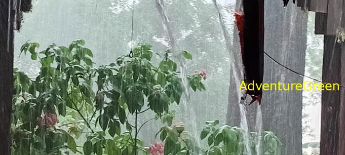 Wildlife Tour at Cat Tien National Park, Vietnam