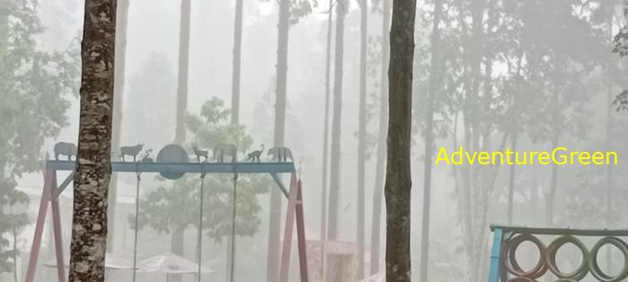 Wildlife Tour at Cat Tien National Park, Vietnam