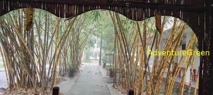 Wildlife Tour at Cat Tien National Park, Vietnam