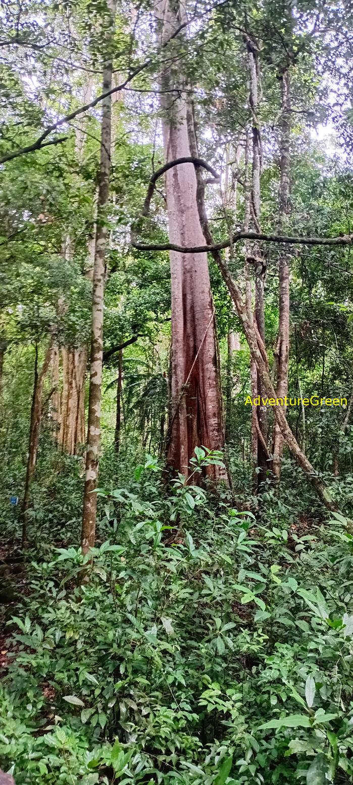 Wildlife Tour at Cat Tien National Park, Vietnam