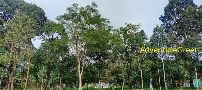 Wildlife Tour at Cat Tien National Park, Vietnam