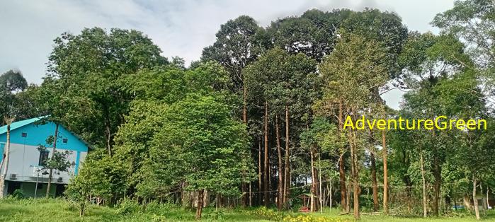 Wildlife Tour at Cat Tien National Park, Vietnam