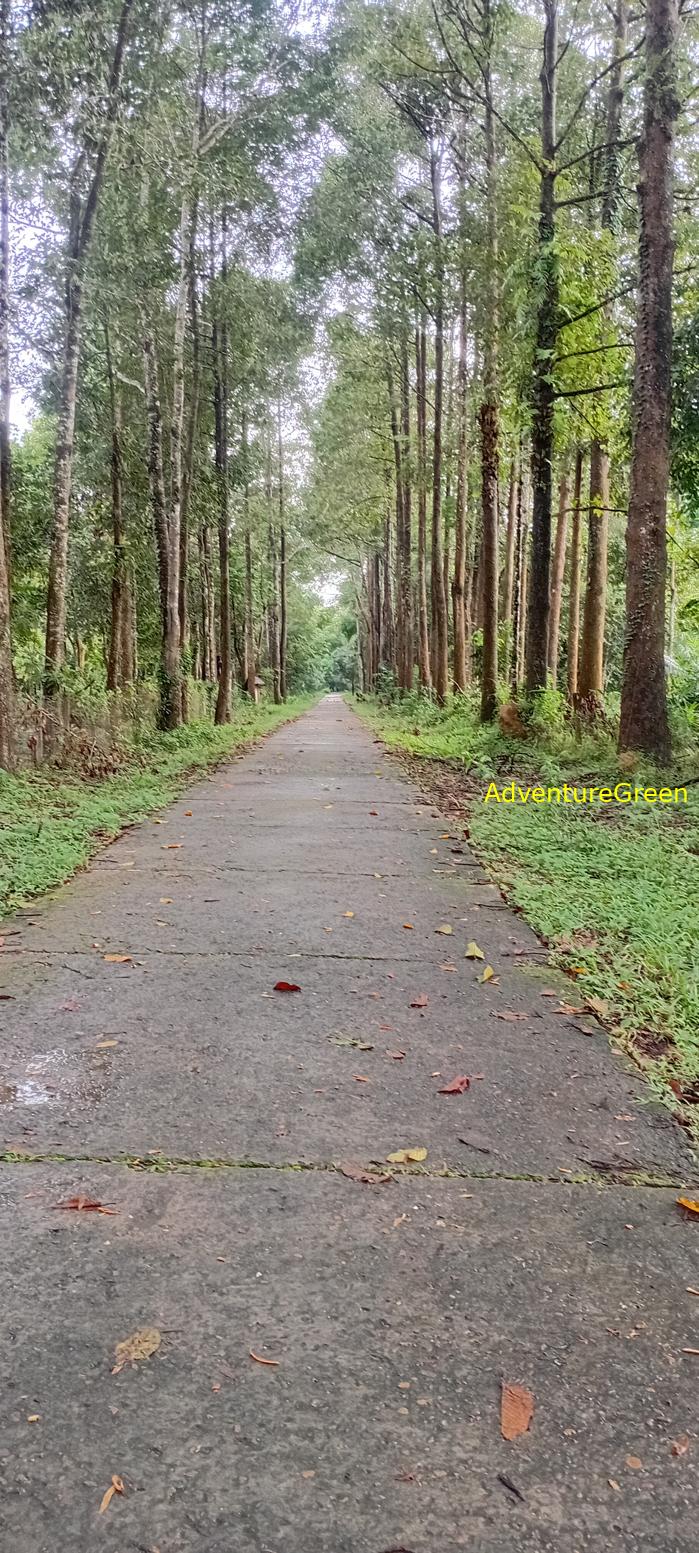 Wildlife Tour at Cat Tien National Park, Vietnam